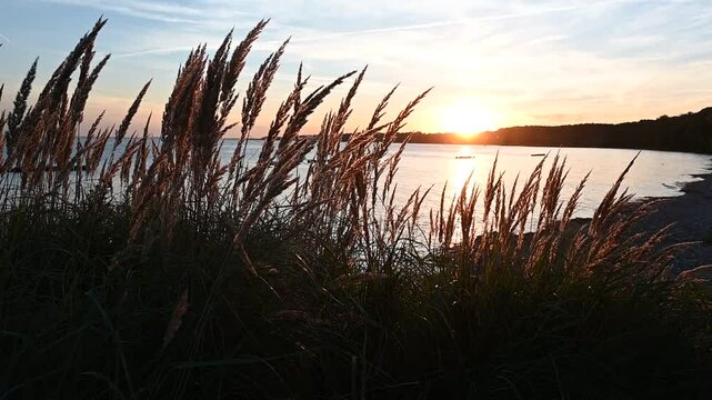 Abend am Stettiner Haff bei Kamminke