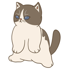 cute cat illustration