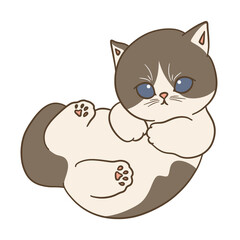 cute cat illustration