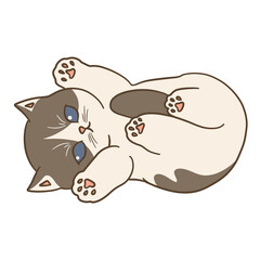 cute cat illustration