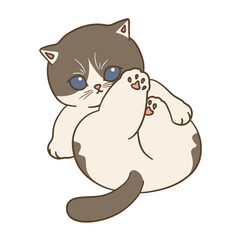 cute cat illustration