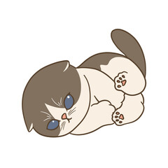 cute cat illustration