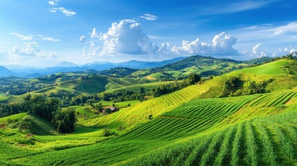 Fototapeta premium Lush Green Terraced Rice Fields Mountain Landscape