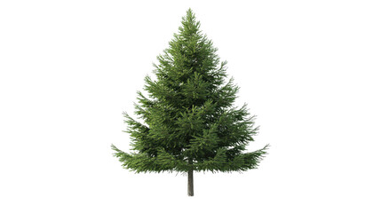 lush green pine tree stands tall, symbolizing nature and tranquility. Its dense foliage and conical shape make it classic representation of evergreen beauty
