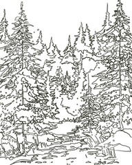 Fototapeta premium winter forest with Christmas trees dark green sketch 
