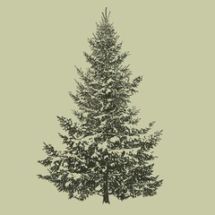 winter Christmas tree dark green sketch on green background