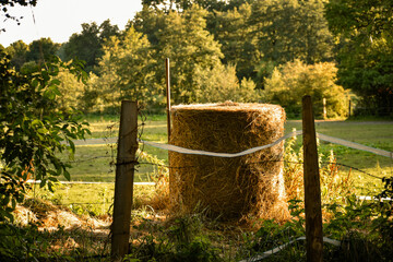 Balle de foin dans la campagne verdoyante