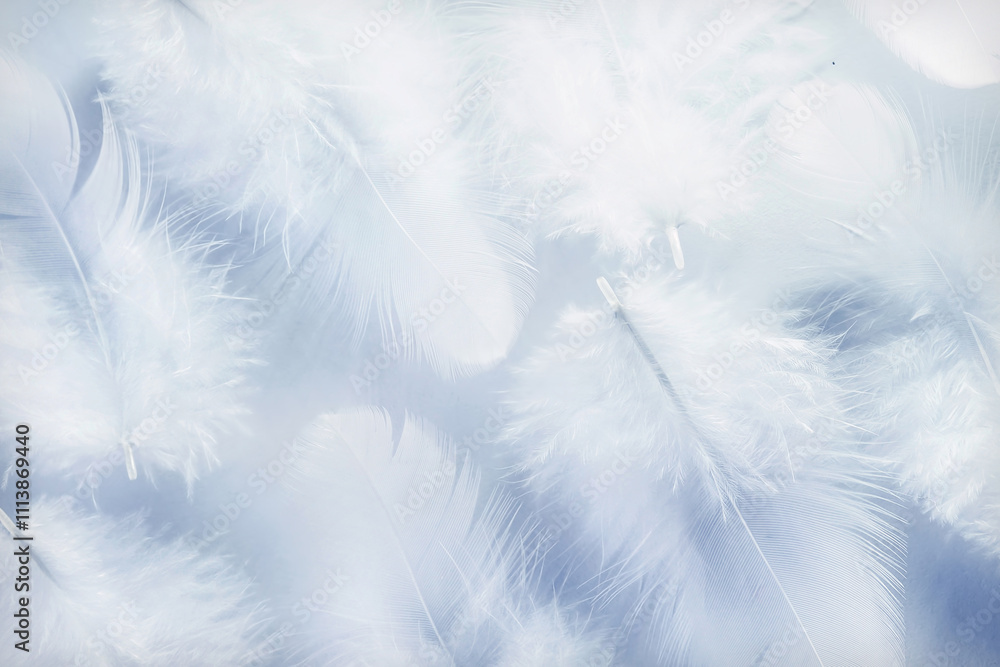 Poster Beatyful and very light airy pink background image based on macro photo of bird feathers.