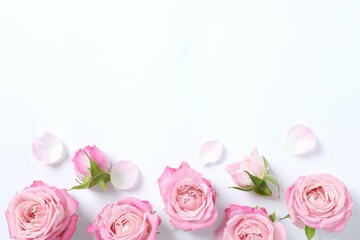 Beautiful composition with pink roses on white background 