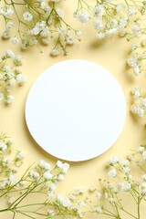 Top view photo with gypsophila flowers and paper card on color background 