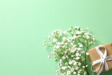 Top view photo with gypsophila flowers and gift box on color background 