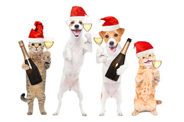 Group of happy pets with champagne and in New Year's caps standing isolated on white background