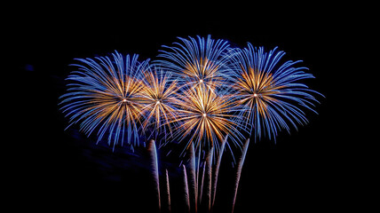 Night sky filled with colorful fireworks