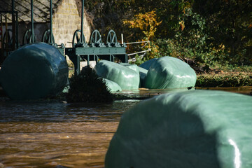 Balles de foin emportées par le fleuve et coincées dans le barrage du moulin - Aa (Pas-de-Calais,...