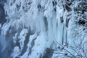 Serene Landscape of Frosty Ice Formations and Snow-Covered Trees in a Quiet Winter Wonderland with a Misty Background