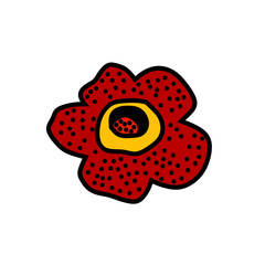 red poppy flower vector illustration