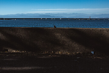 駿河湾の底に沈んでしまえ