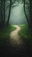Forest path in mist.
