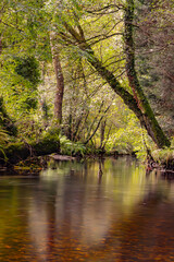 River with transparent waters