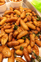 태국의 길거리 음식, 벌레튀김, 누에고치, 번데기, 귀뚜라미, 밀웜, 물방개, 개구리 등
