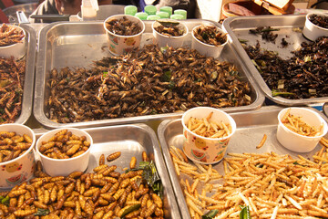 태국의 길거리 음식, 벌레튀김, 누에고치, 번데기, 귀뚜라미, 밀웜, 물방개, 개구리 등
