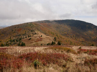 Obraz premium Fall mountain landscape