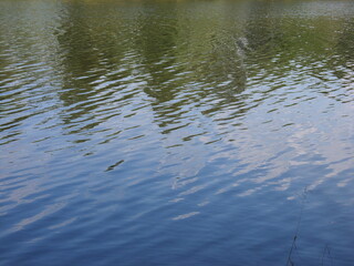 reflection in the river, river, water,