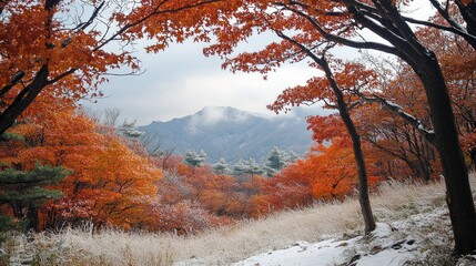 Fototapeta premium Tree with beautiful orange leaves in snow in winter