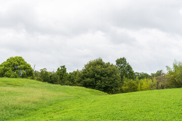 Obraz premium 緑豊かな丘と曇り空の風景