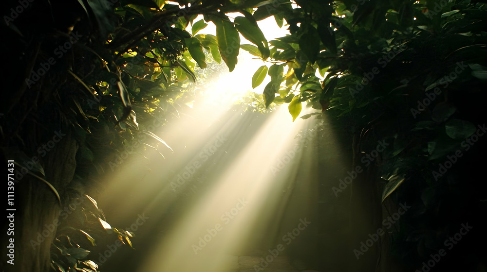 Aufkleber sunbeams illuminate a mystical path through lush foliage, creating a serene and enchanting atmospher
