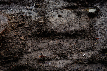 Old cigarette butts on the black ground, Polluted earth, pollution of the planet, environmental...
