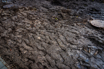 Old cigarette butts on the black ground, Polluted earth, pollution of the planet, environmental damage.