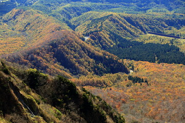 紅葉した鳥取県の伯耆大山の山並みと森
