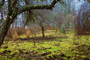 Park