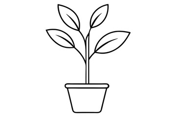 A simple Sapling Stories  line art vector