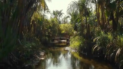 Naklejka premium Serene River Through Lush Tropical Forest