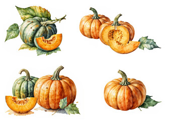Set of pumpkin isolated on white