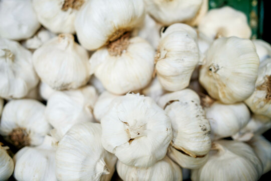Fresh garlic bulbs piled up for sale at a market.
