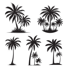set of palm trees