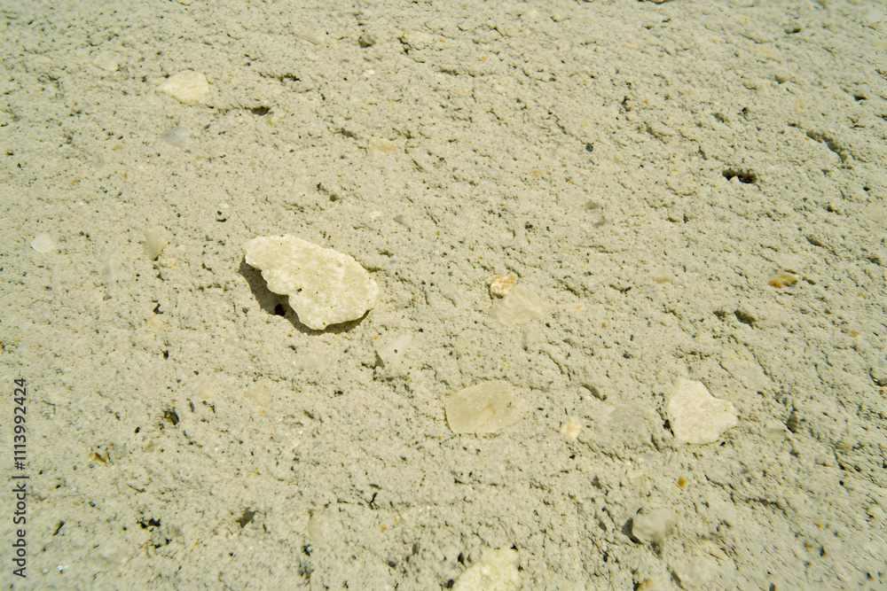 Poster close-up texture of light beige exposed aggregate concrete with visible stones. ideal for background