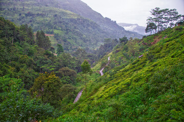 Naklejka premium Valley with Aquaduc