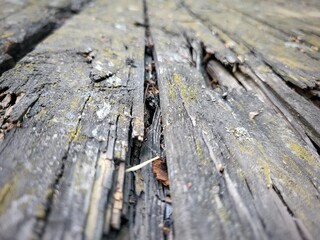 old wooden texture