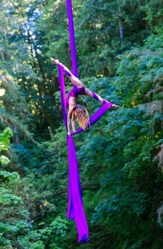 Aerial silk performer executing a flexible backbend in a purple silk hammock amidst a lush green forest, USA