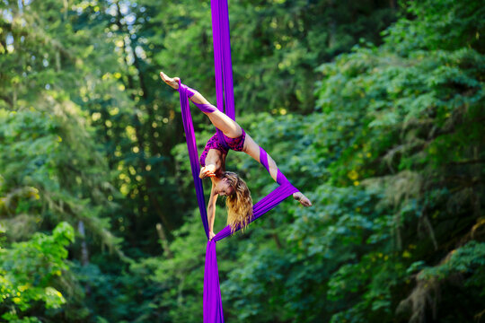 Aerial silk performer executing a pose in purple fabric amidst lush greenery, USA