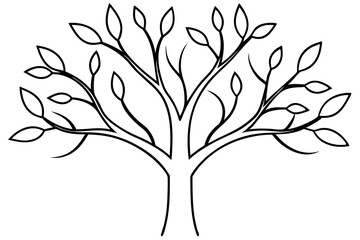 Obraz premium Elegant Branching Line Art Vector