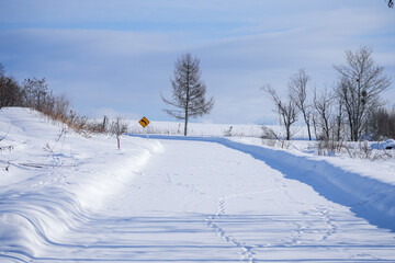 Snow-Covered Road with Footprints and Curved Sign Surrounded by Winter Landscape Under a Clear Blue Sky, Evoking Serenity and Calmness in Nature's Beauty