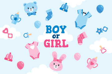 SBoy or Girl Gender Reveal Element Background Vector Illustration