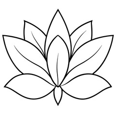 flower isolated on white