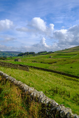 Early autumn sunshine on a landscape of barns and drystone walls in the countryside near Bainbridge in the Yorkshire Dales