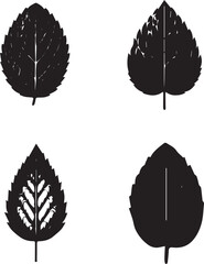 Mint Leaf Silhouette Vector Set – Herbal and Botanical Design Elements
